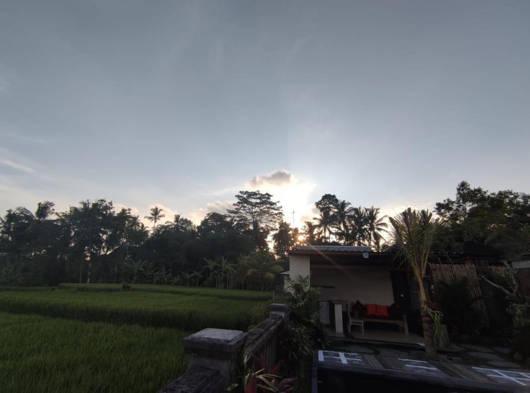 Anggarakasih Ubud Villa Экстерьер фото